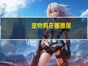 宠物狗在哪撒尿