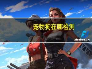 宠物狗在哪检测