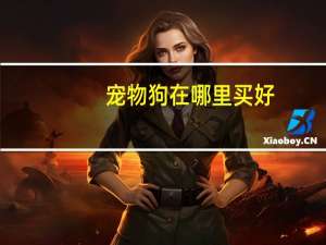 宠物狗在哪里买好