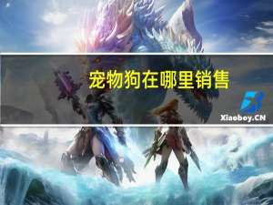 宠物狗在哪里销售