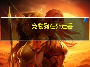 宠物狗在外走丢