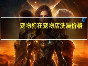 宠物狗在宠物店洗澡价格