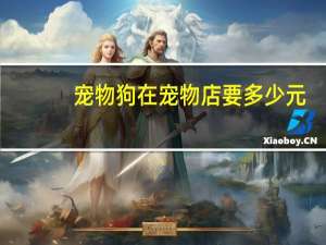 宠物狗在宠物店要多少元