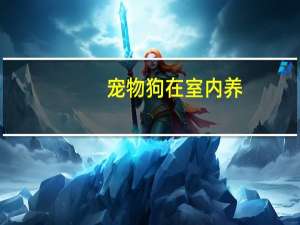 宠物狗在室内养