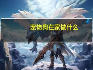 宠物狗在家做什么