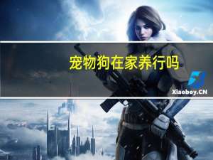 宠物狗在家养行吗