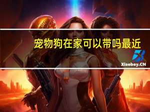 宠物狗在家可以带吗最近