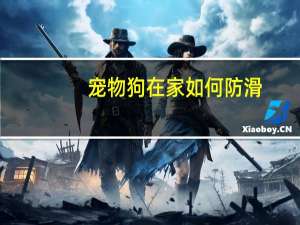 宠物狗在家如何防滑