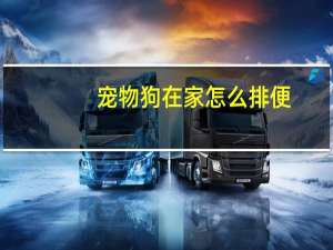宠物狗在家怎么排便