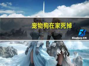 宠物狗在家死掉