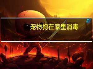 宠物狗在家里消毒