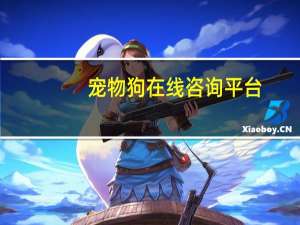 宠物狗在线咨询平台