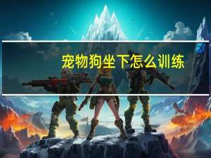 宠物狗坐下怎么训练