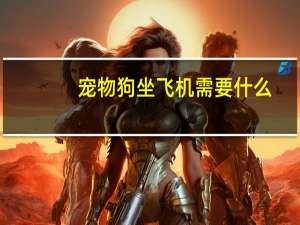 宠物狗坐飞机需要什么