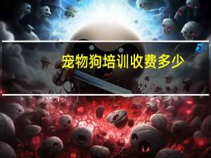 宠物狗培训收费多少