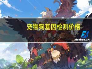 宠物狗基因检测价格