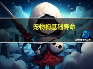 宠物狗基础寿命