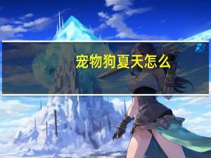 宠物狗夏天怎么
