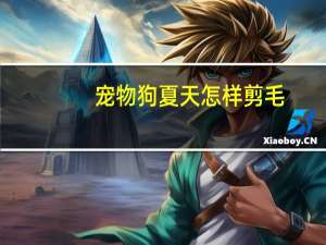宠物狗夏天怎样剪毛