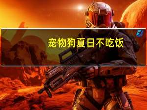 宠物狗夏日不吃饭