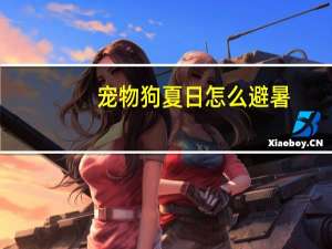 宠物狗夏日怎么避暑