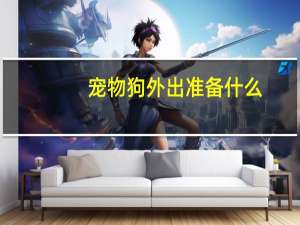 宠物狗外出准备什么