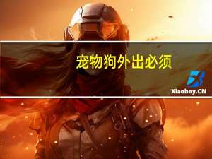 宠物狗外出必须