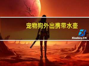 宠物狗外出携带水壶