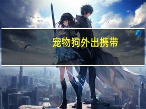 宠物狗外出携带