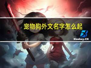 宠物狗外文名字怎么起