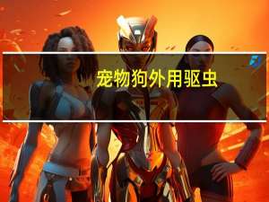 宠物狗外用驱虫