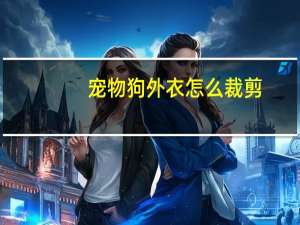 宠物狗外衣怎么裁剪