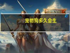 宠物狗多久会生