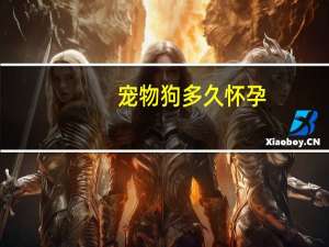 宠物狗多久怀孕