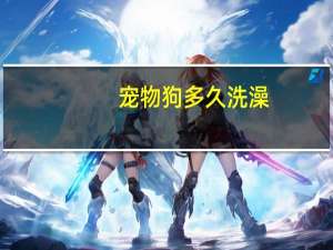 宠物狗多久洗澡