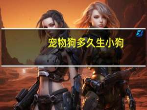 宠物狗多久生小狗
