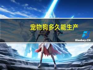 宠物狗多久能生产