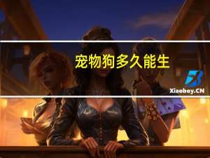 宠物狗多久能生