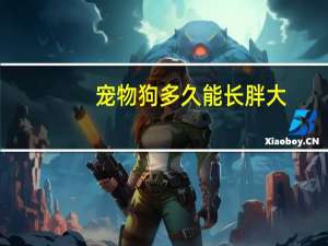 宠物狗多久能长胖大