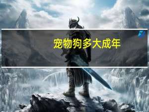 宠物狗多大成年