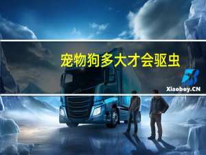 宠物狗多大才会驱虫