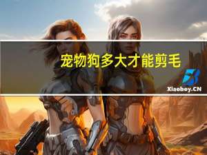 宠物狗多大才能剪毛