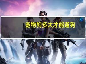 宠物狗多大才能遛狗