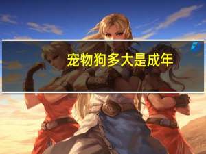 宠物狗多大是成年
