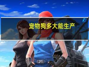 宠物狗多大能生产