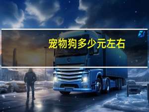 宠物狗多少元左右