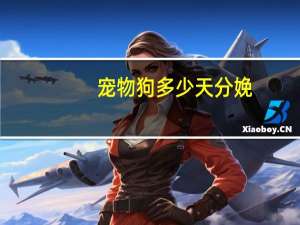 宠物狗多少天分娩