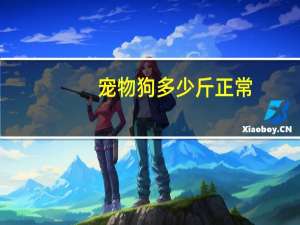 宠物狗多少斤正常