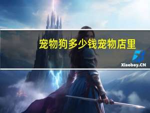 宠物狗多少钱宠物店里