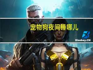 宠物狗夜间睡哪儿
